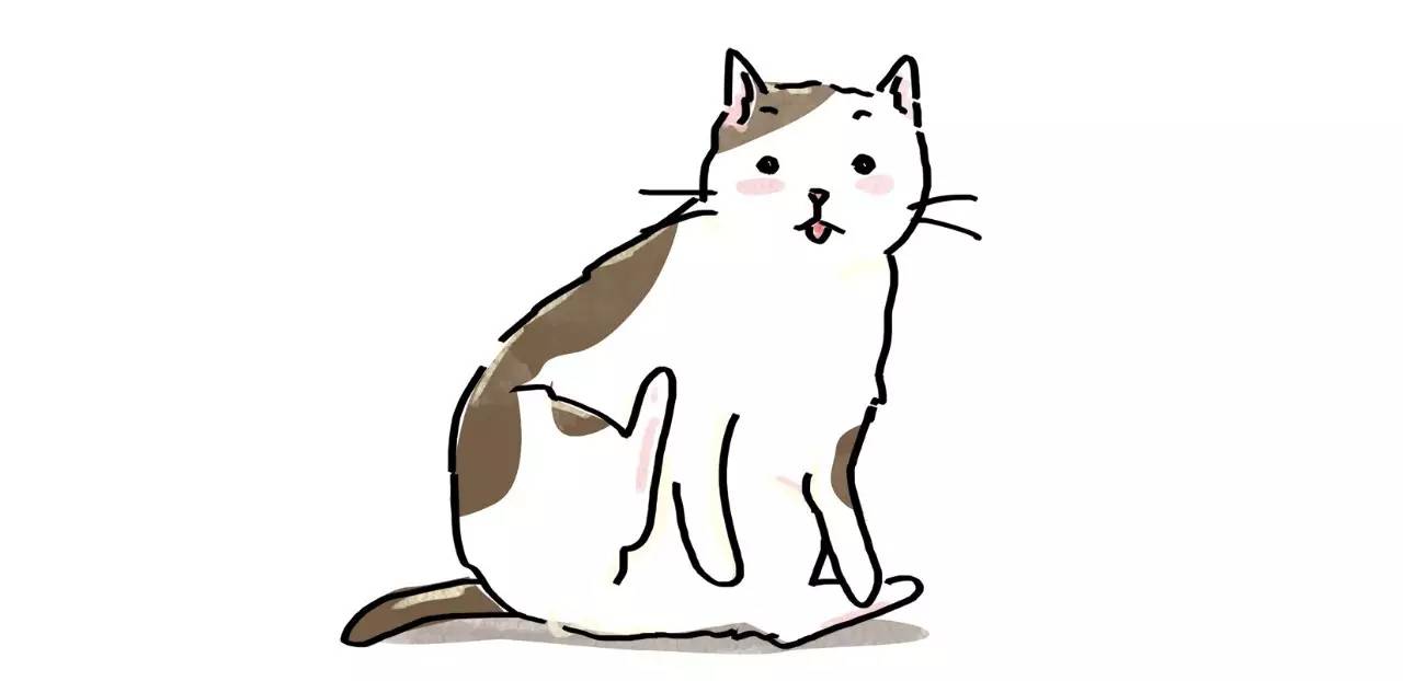 坐舔、跪舔、躺着舔……喵为什么这么爱舔毛？丨行为