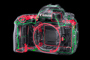 飞入寻常百姓家阅读理解,飞入寻常百姓家介绍