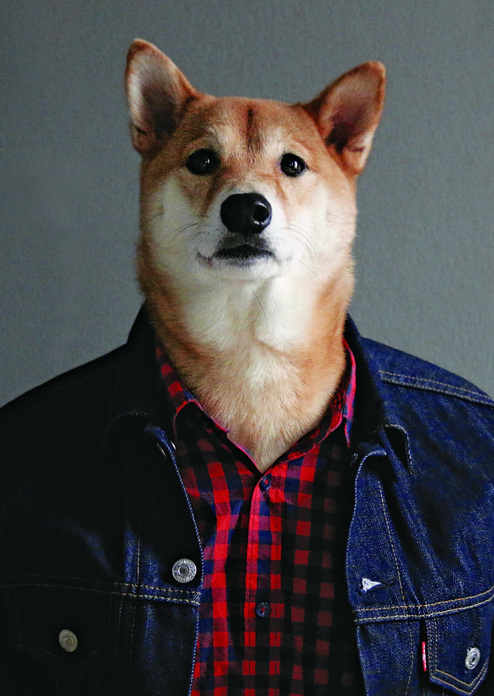 男春季穿搭技巧,春季男士穿搭禁欲奶狗风