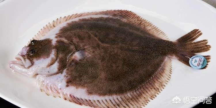 清蒸多宝鱼简单易学鲜美软嫩,清蒸多宝鱼怎么做最好吃窍门