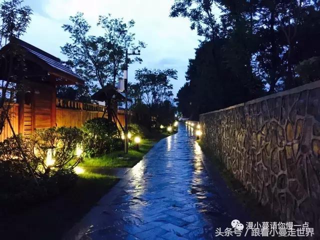 高淳去南京玩,高淳看荷花