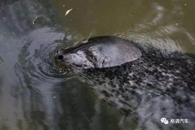 青岛毕业旅行三日游,毕业旅游自由行攻略