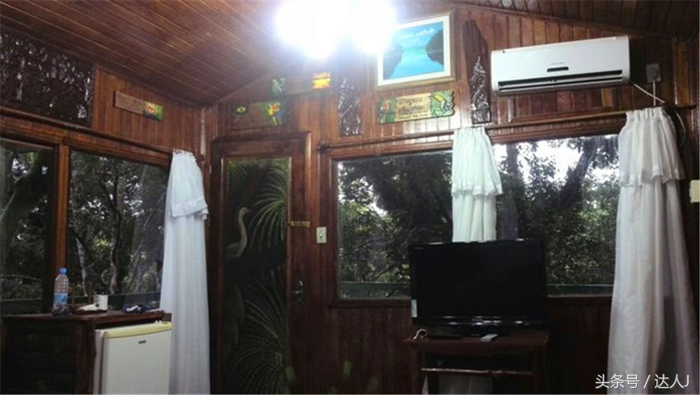 从亚马逊雨林到安纳托,最靠近亚马逊丛林的城市