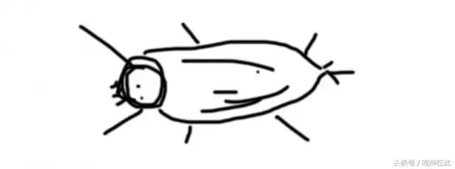 排名第一的灭蟑螂方法,十大灭蟑螂方法