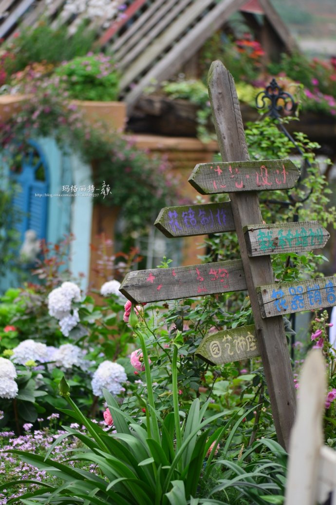 成都玛莉亚色彩花园,成都玛莉亚色彩花园电话