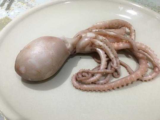 鲜活八爪鱼火锅,海鲜火锅配上八爪鱼