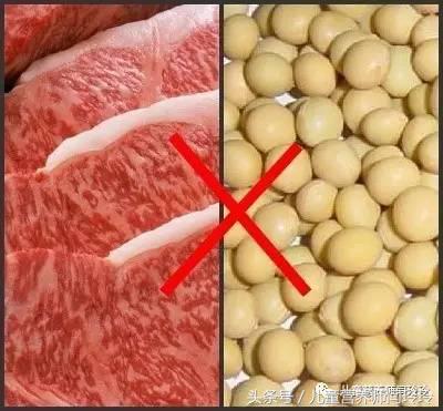 七日减肥食谱第一天只吃水果,挑战健康饮食15天减肥记