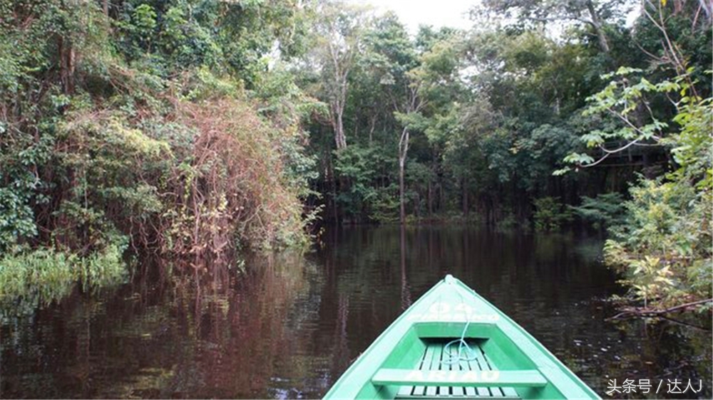 达人J：巴西的盛宴