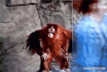 如何闭着嘴把妞给泡了?