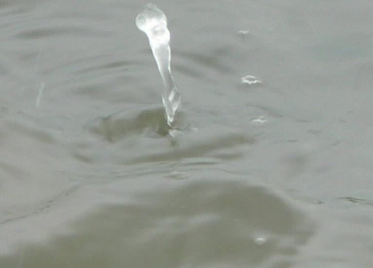 水魅小说的结局,水魅书全文阅读