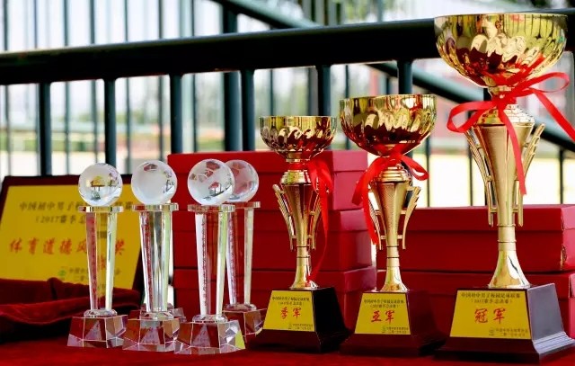 麓山国际实验学校足球队全国冠军,湖南长沙小学生足球联赛梅溪湖