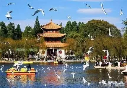 昆明西山区景点推荐一日游,昆明带孩子一日游最佳景点一览表