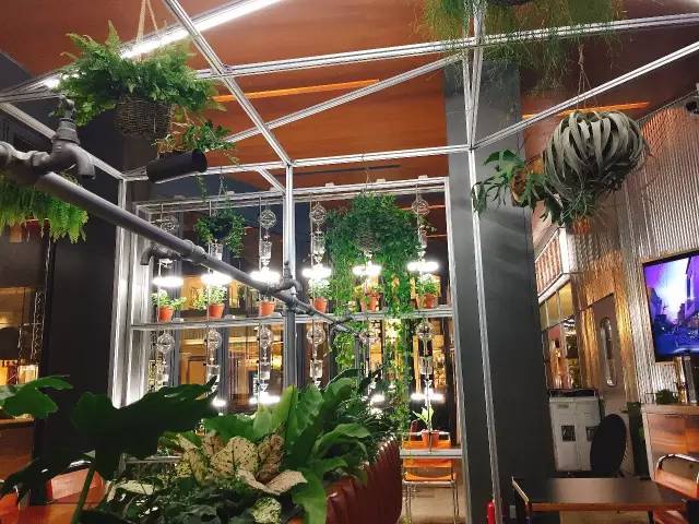 原麦山丘全麦乳酸蔓越莓,北京有哪些原麦山丘面包店