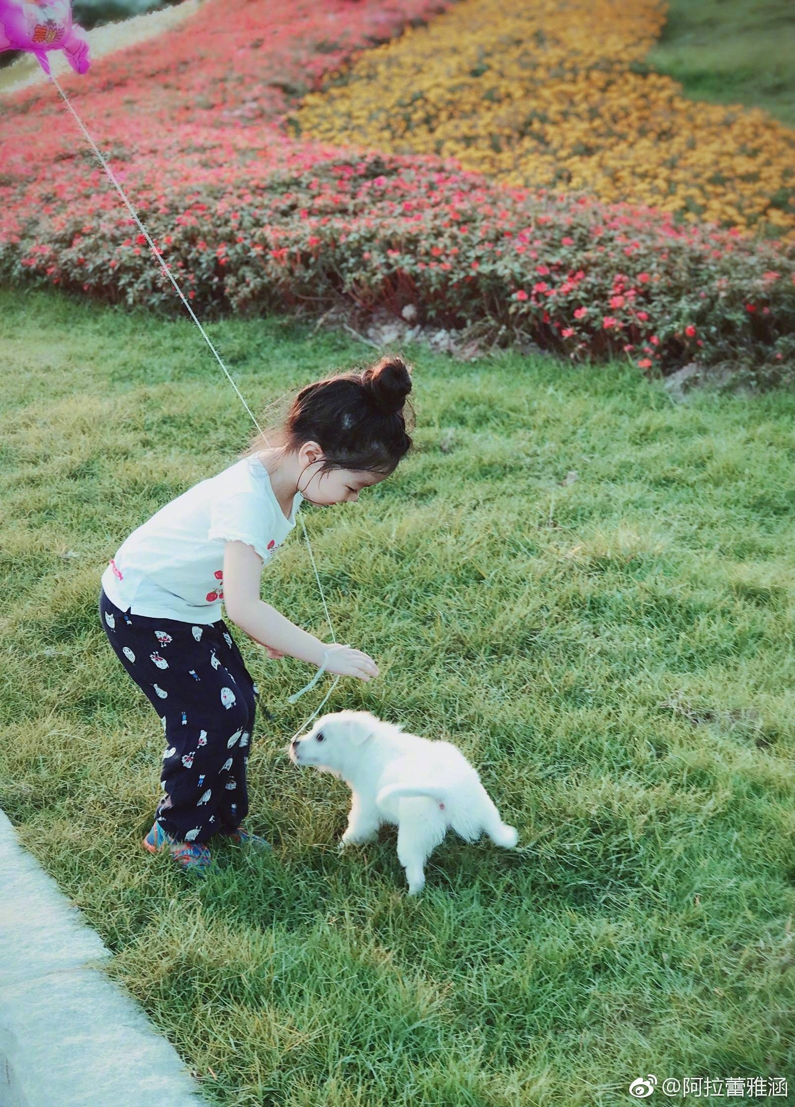 家有儿女森碟女大十八变,11岁森碟长大后图