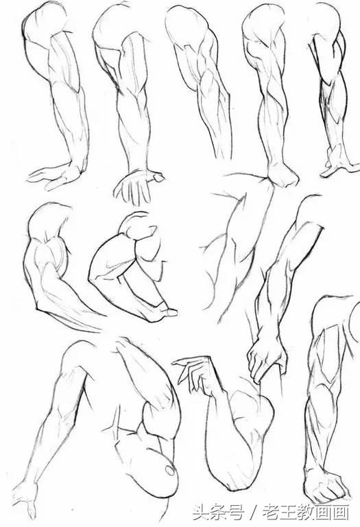 教100个零基础小白画画,100个适合零基础学习的画画教程