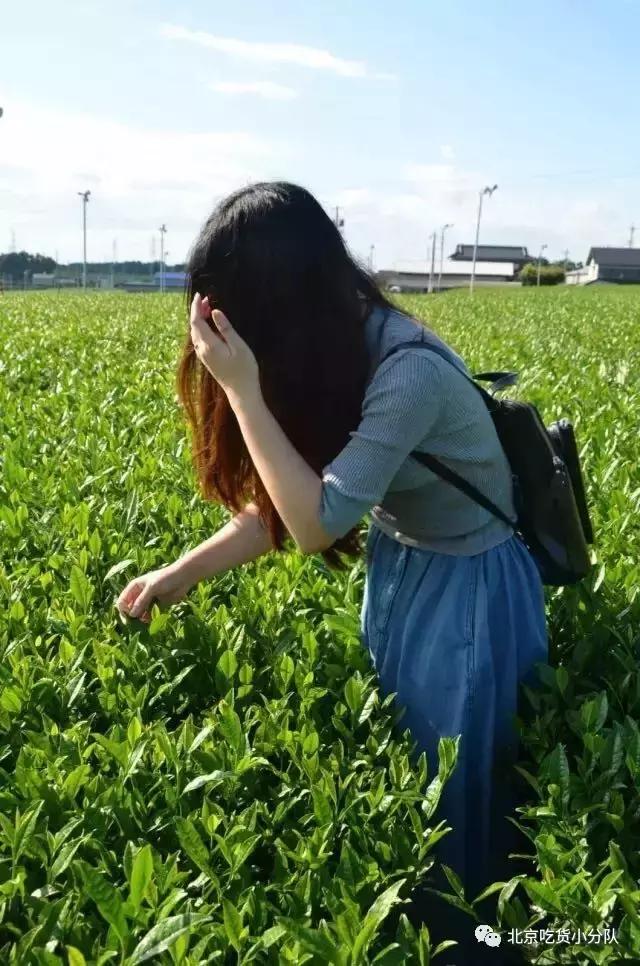 三里屯面包店现状,三里屯日常迟到