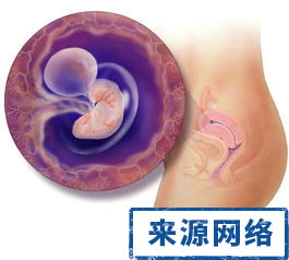 怀孕胸部一到十月变化过程,女人一到十月怀孕过程