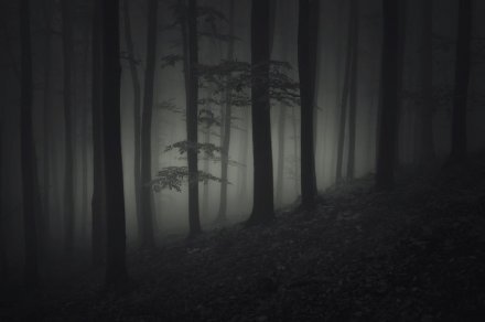 半夜凉飕飕特别篇5：蛋友们的那些事儿，两个铃声