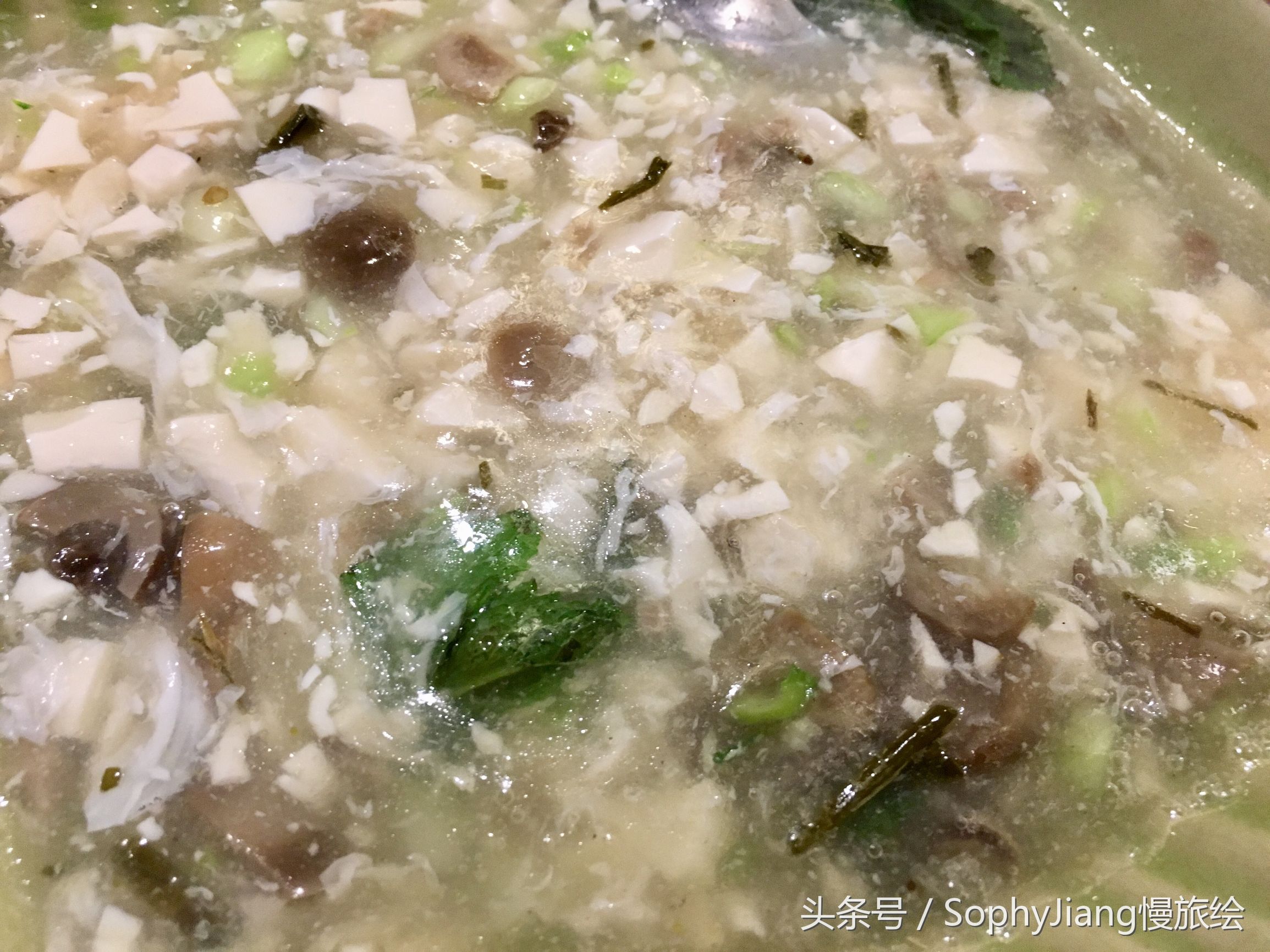 广州吃斋菜的餐厅,广州素食大餐推荐店有哪些