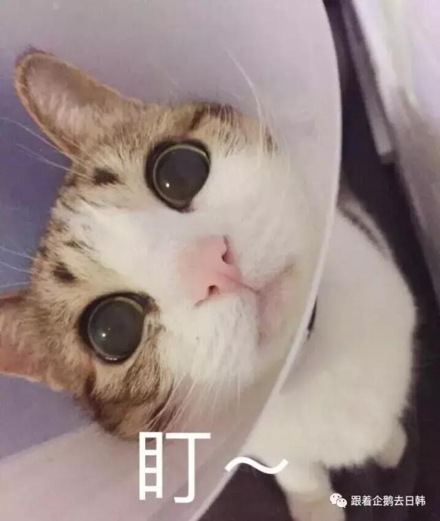 就爱「无添加」Fancl死忠粉推荐这30款好物