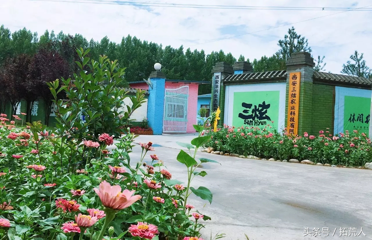 创意农场推荐,有特色创意的农场