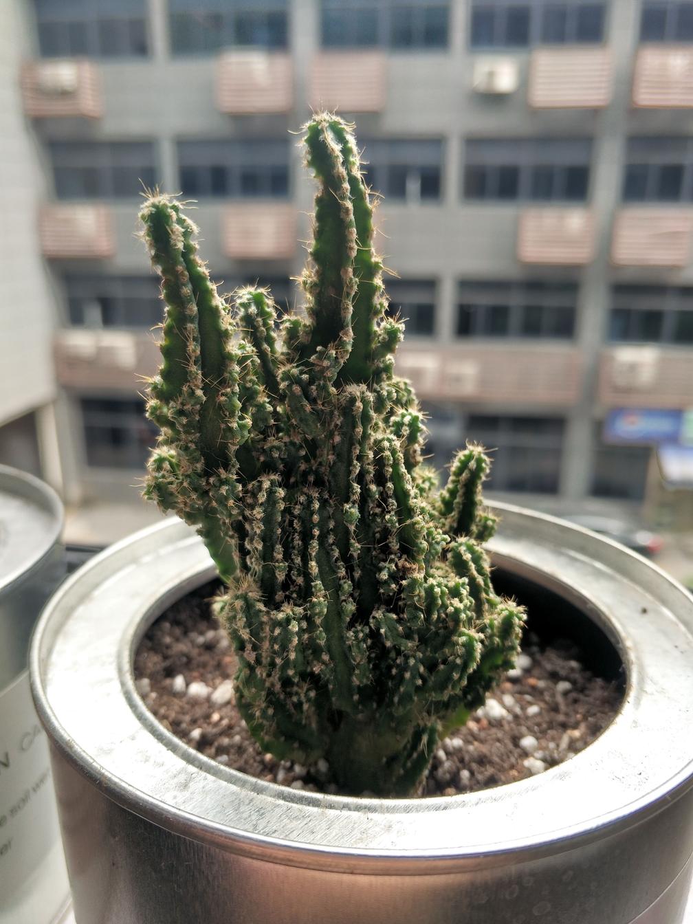 vivox9splus测评是立体声吗,vivox9splus体验测评