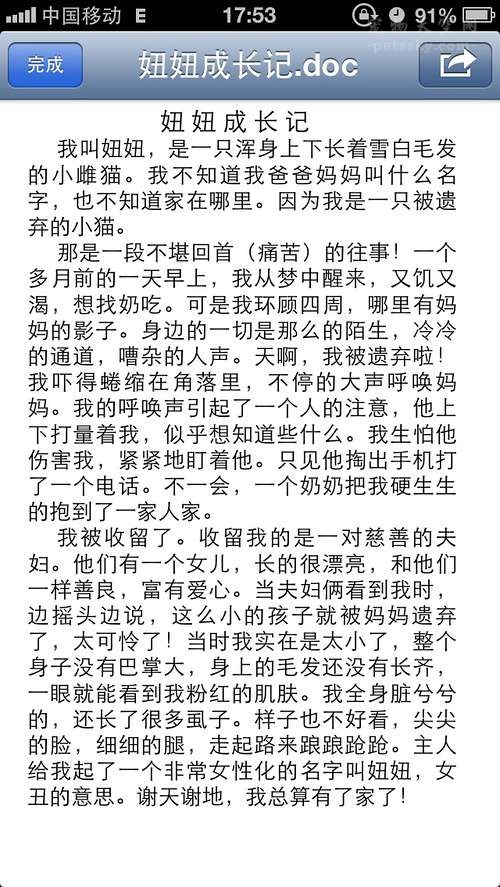 遇到猫咪踩奶,遇到一只会踩奶的猫