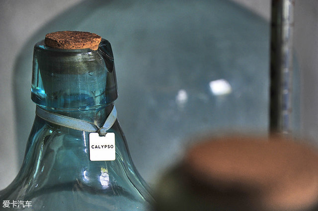 海陆皆猛虎路虎百慕大美洲帆船赛之旅