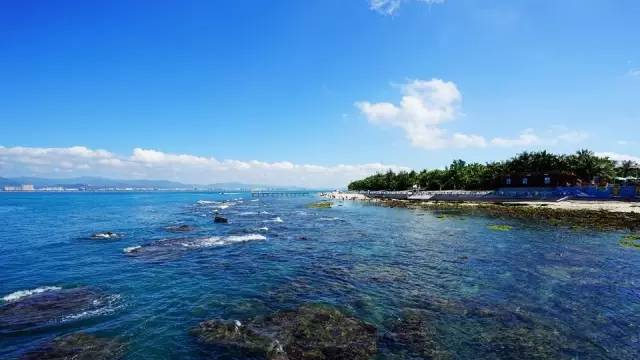 三亚潜水攻略大全,三亚怎么才能自由潜水