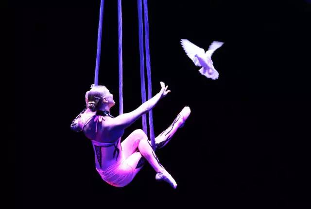 长隆攻略广州长隆欢乐世界攻略,广州长隆最全游玩攻略及费用