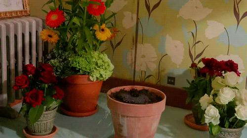 夏季屋子凉爽小妙招,夏天如何让房间变凉快