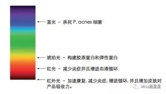 听说美容仪用了就能变美？盘点日本最火的十款美容仪