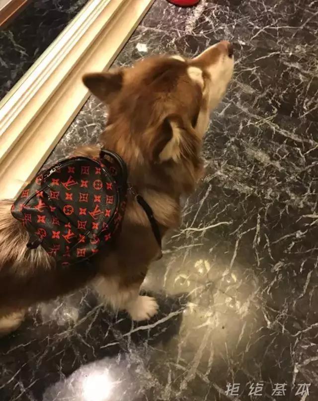 一边被人疯狂吐槽，一边赚的盆满钵满, LV是怎么做到的？