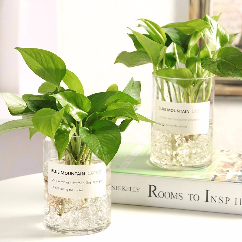 拯救空调肌,拯救你的空调肌