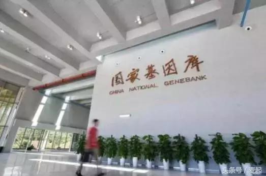 华大基因为什么这么牛,华大基因在基因检测领域中的地位