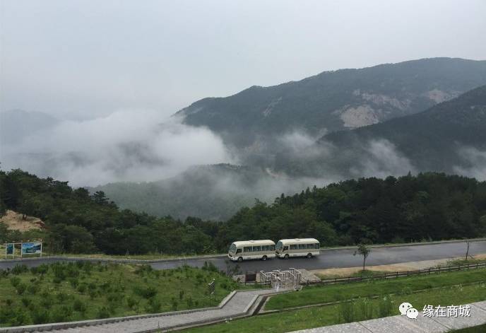 盛夏七月，商城县这几个地方被避暑游客挤爆了……