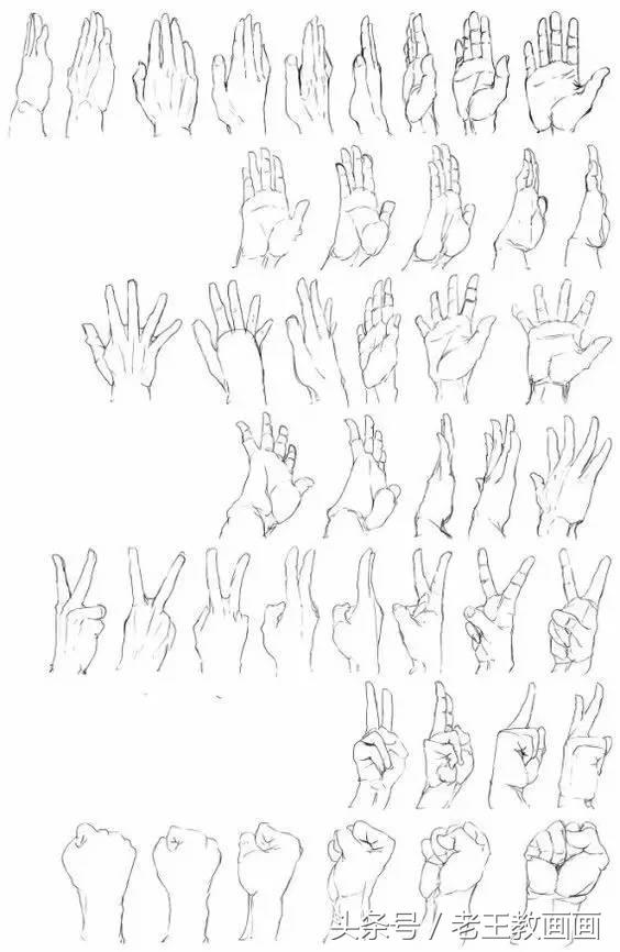 教100个零基础画画小白,零基础自学绘画入门书