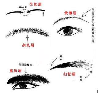 易经文化：从眉毛看看你30一35岁的运势如何