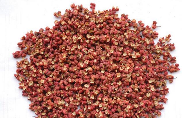 湿气重一招教你轻松解决湿气问题,湿气是百病源祛湿气一招搞定