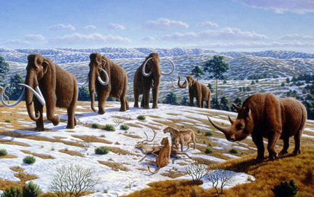 关于猛犸象灭绝的几种推测,猛犸象是不是在1000年前灭绝了