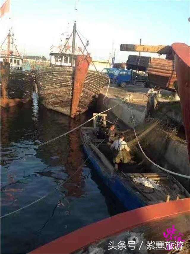秦皇岛旅游住宿农家院,秦皇岛2日游攻略农家院
