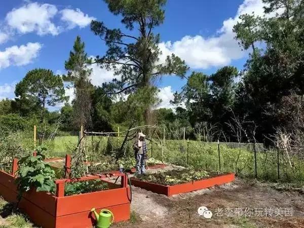 嗨文化｜美国狩猎：吃到嘴的意义