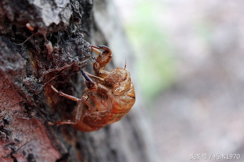 东营市摄影团购,摄影广饶