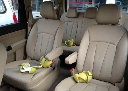 夏天汗水多怎样去除车内的异味,车内异味怎么彻底清除夏天