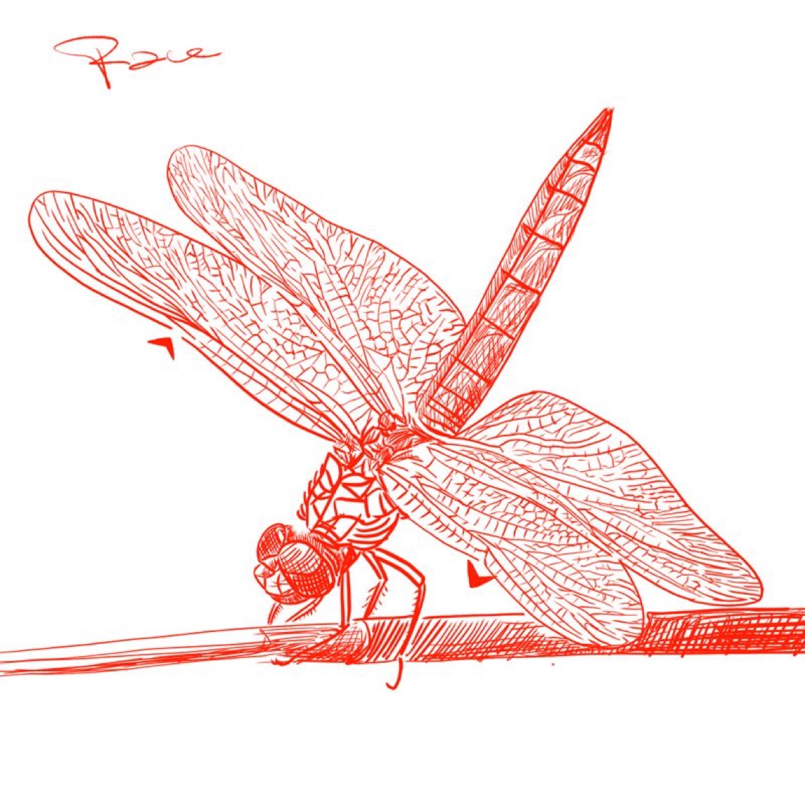 浙江大学学霸创业身家百亿,浙大创业男投资