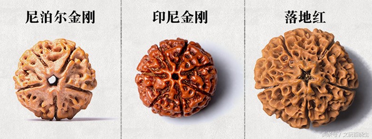 怎样区分金刚和尼泊尔金刚,尼泊尔金刚跟印尼金刚哪个好