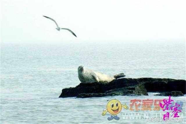 大钦岛渔家乐旅游攻略,紫塞北京农家乐