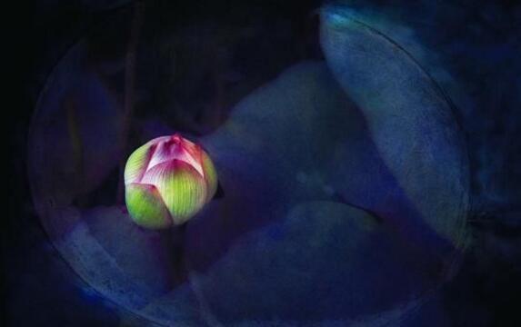 让自己强大起来的秘诀,让自己强大的100个方法