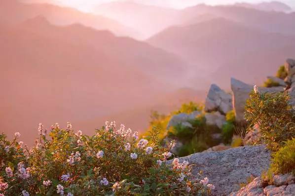 京津冀，听说你们缺一份避暑攻略？驿雲小编已给你们备好！