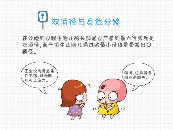 如何看胎儿双顶径,怎么看胎儿头围腹围股骨长